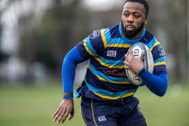 Image result for Watford Rugby Football Club