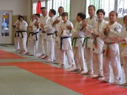 Image result for Court Lane Judo Club