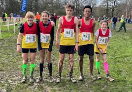 Image result for Enfield & Haringey Athletic Club