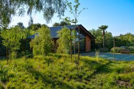 Attēlu rezultāti vaicājumam “Carex remota”