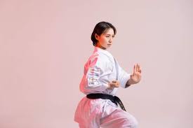 Image result for Okami Karate & Fitness Schools