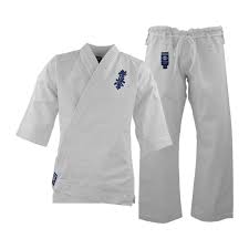 Image result for Kyokushin Karate