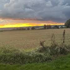 Image result for Rowledge Cc