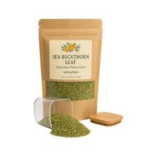 Attēlu rezultāti vaicājumam “Hippophae rhamnoides leaf”