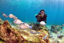 Image result for bombinhas