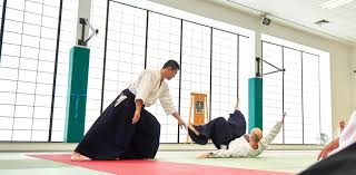 Image result for London Aikido Club