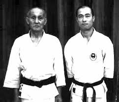 Image result for Independent Wadoryu Karate Federation