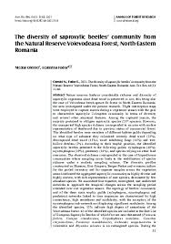 Attēlu rezultāti vaicājumam “Ceruchus chrysomelinus imago”