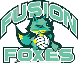 Image result for Foxes Netball Club