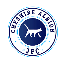 Image result for Staines Albion Fc