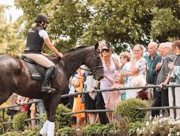 Image result for Thoroughbreds Netball Clubs