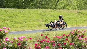 Image result for Greenways Riding Stable Lower Eashing
