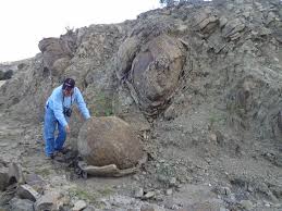 Image result for intemperismo