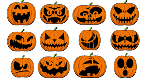 Image result for Kürbis