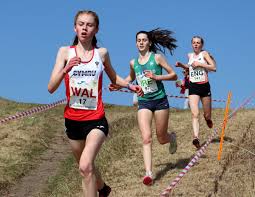 Image result for Deeside Aac