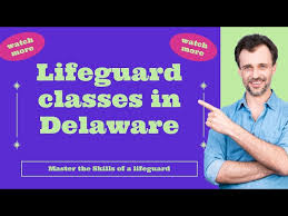 Image result for Dover Lifeguard Sc