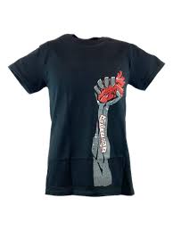 Image result for Rise Above Wrestling