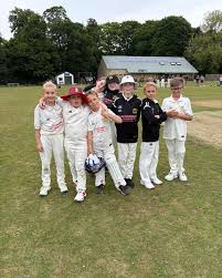 Image result for Rodley Cricket Club
