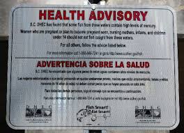 Image result for Deben Sc