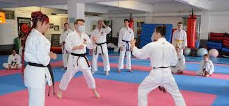 Image result for Tora Dojo