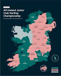 Image result for Causeway Hurling Club