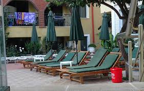 Image result for Maxwell Swimming Club