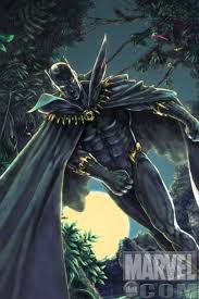 Black Panther Images?q=tbn:ANd9GcQwJVKPzPJLQp8LHAheoWS0qebYf27VJgY_1AR67WeesWYvuW_X
