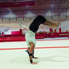 Image result for City Of Newcastle Gymnastics Academy