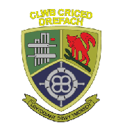 Image result for Drefach Cricket & Football Club