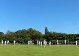 Image result for South Woodford Bowling Club