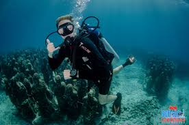 Image result for Underwater Adventures
