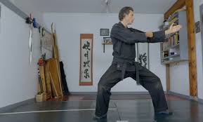 Image result for M-S-N Ninjutsu (Bujinkan) Club