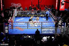 Image result for The Square Boxing Club