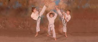 Image result for Crown Tae Kwon Do