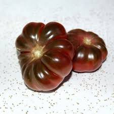 Afbeeldingsresultaat voor purple calabash tomato