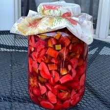 Attēlu rezultāti vaicājumam “Rheum rhabarbarum fruit”