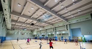 Image result for Causeway Badminton Club