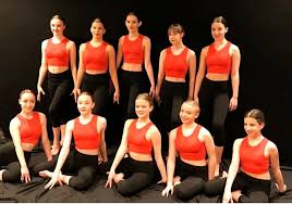 Image result for North Devon Display Gymnastics Club