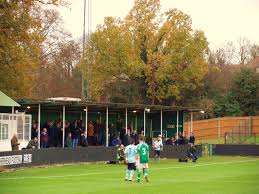 Image result for Leatherhead Football Club