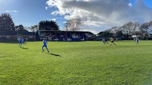 Image result for Cowes Sports Football Club