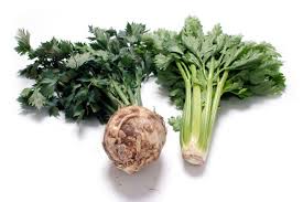 Image result for Sellerie