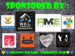 Image result for Trelewis Welfare Bowls Club