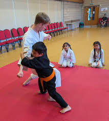 Image result for Junsui Shotokan Karate Do
