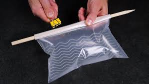 Attēlu rezultāti vaicājumam “Elmerina caryae”