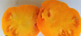 Afbeeldingsresultaat voor belarus orange tomato