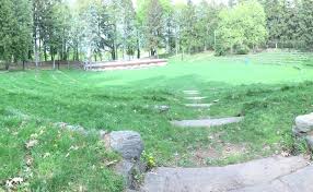 Image result for Thorn Park L T C