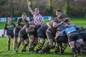 Image result for Sutton & Epsom Rugby Football Club
