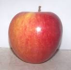 Where to Find Pinata Apples in 2010/2011? » Eat Like No One Else