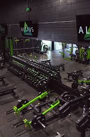 Image result for Altius Trampoline Club