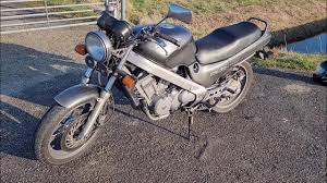 Image result for Honda Revere